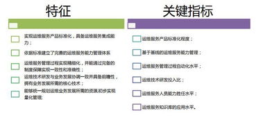 干貨全面剖析 ITSS信息技術服務標準與信息咨詢服務